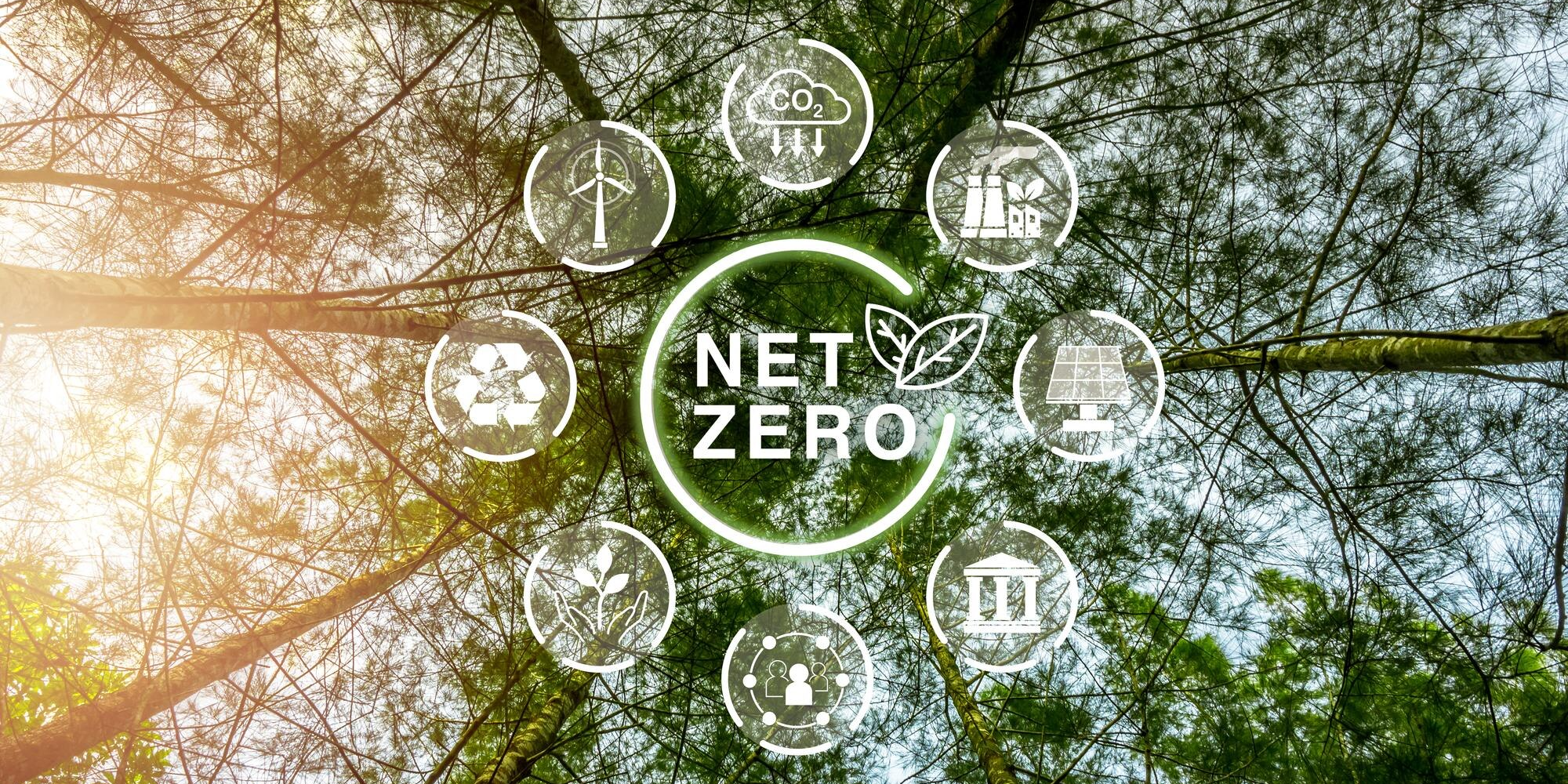 FFI Solutions - Net Zero Transition DataSet 2