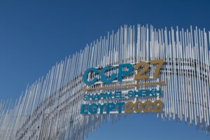 FFI Solutions - COP27 - Managing Expectation - Our Take on COP27