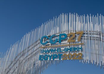 FFI Solutions - COP27 - Managing Expectation - Our Take on COP27