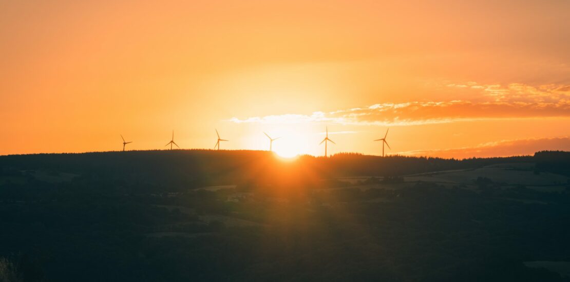 An image that represents sustainable investing.
