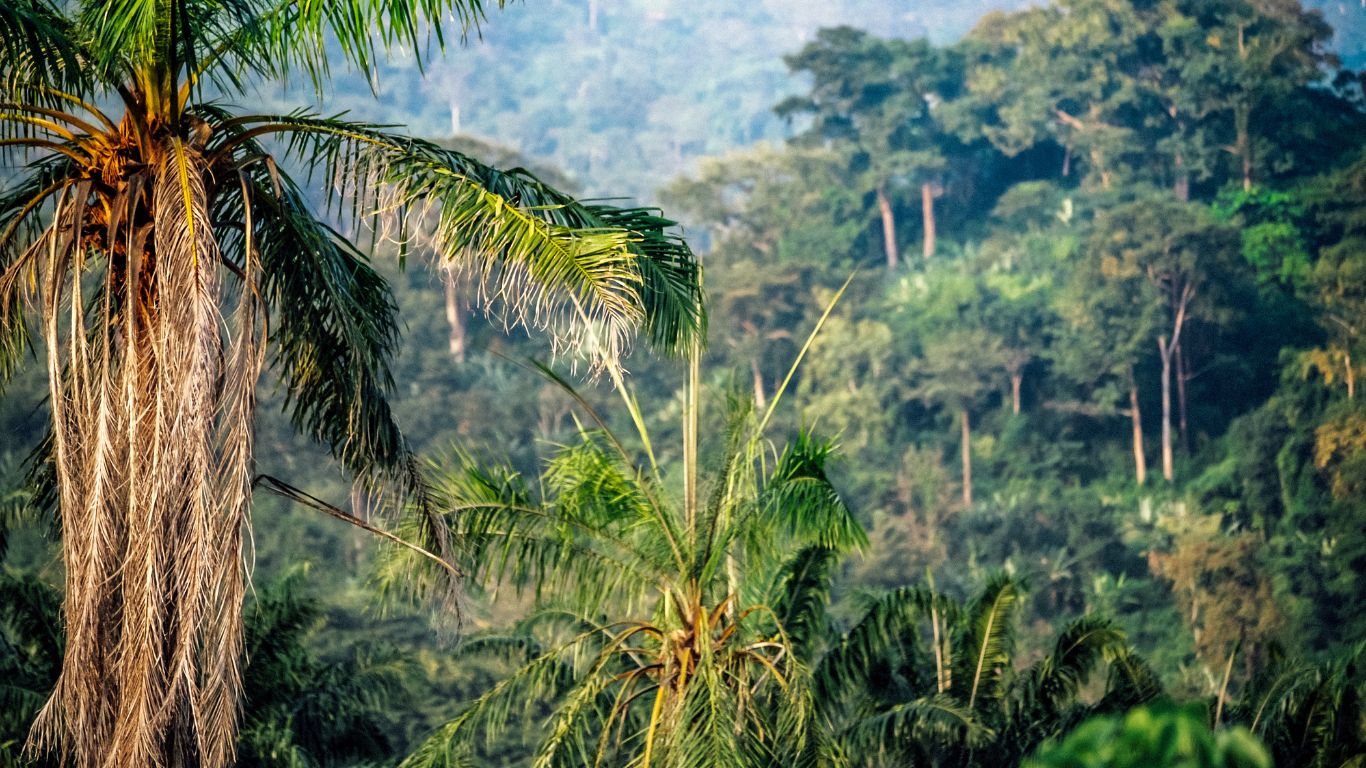 Earth Day 2022. We offer our reflections on climate change and sustainable investing.