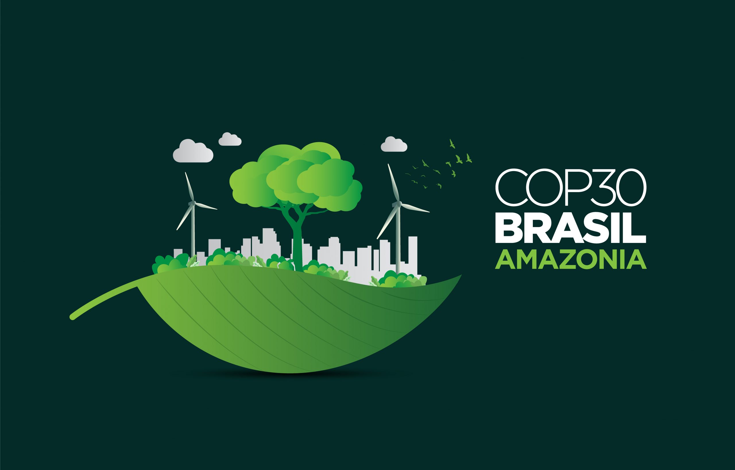 COP30 FFI Solutions Blog